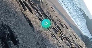 fuck in beach|beach fuck Search